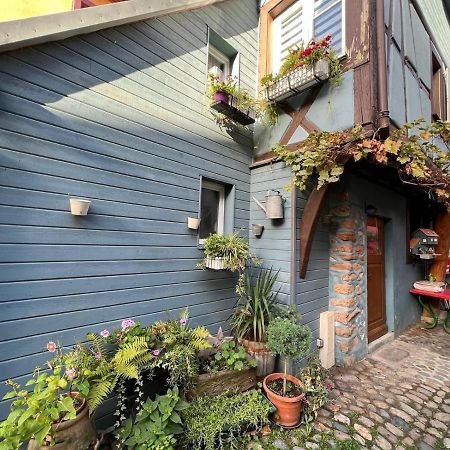 Gite Le 70 A Turckheim, 10 Min Colmar المظهر الخارجي الصورة