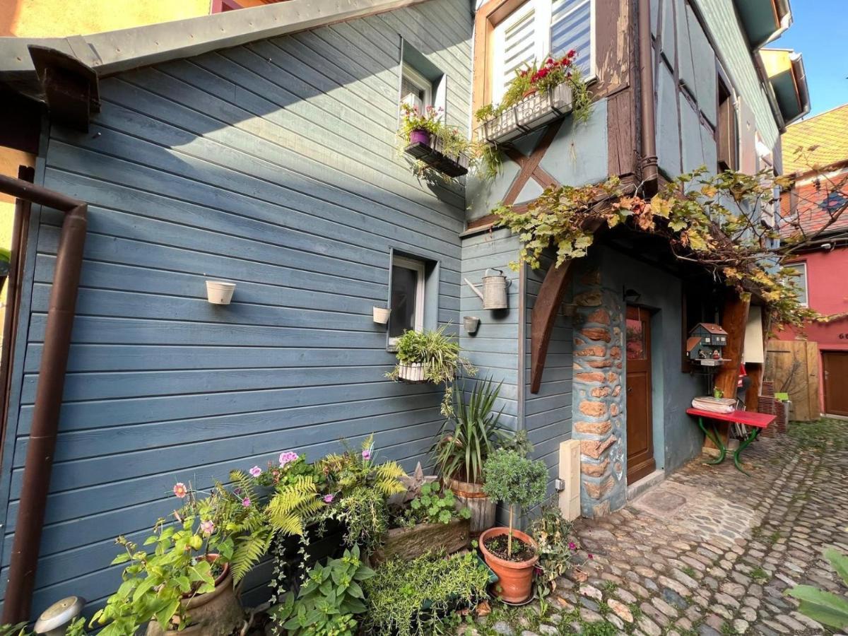 Gite Le 70 A Turckheim, 10 Min Colmar المظهر الخارجي الصورة